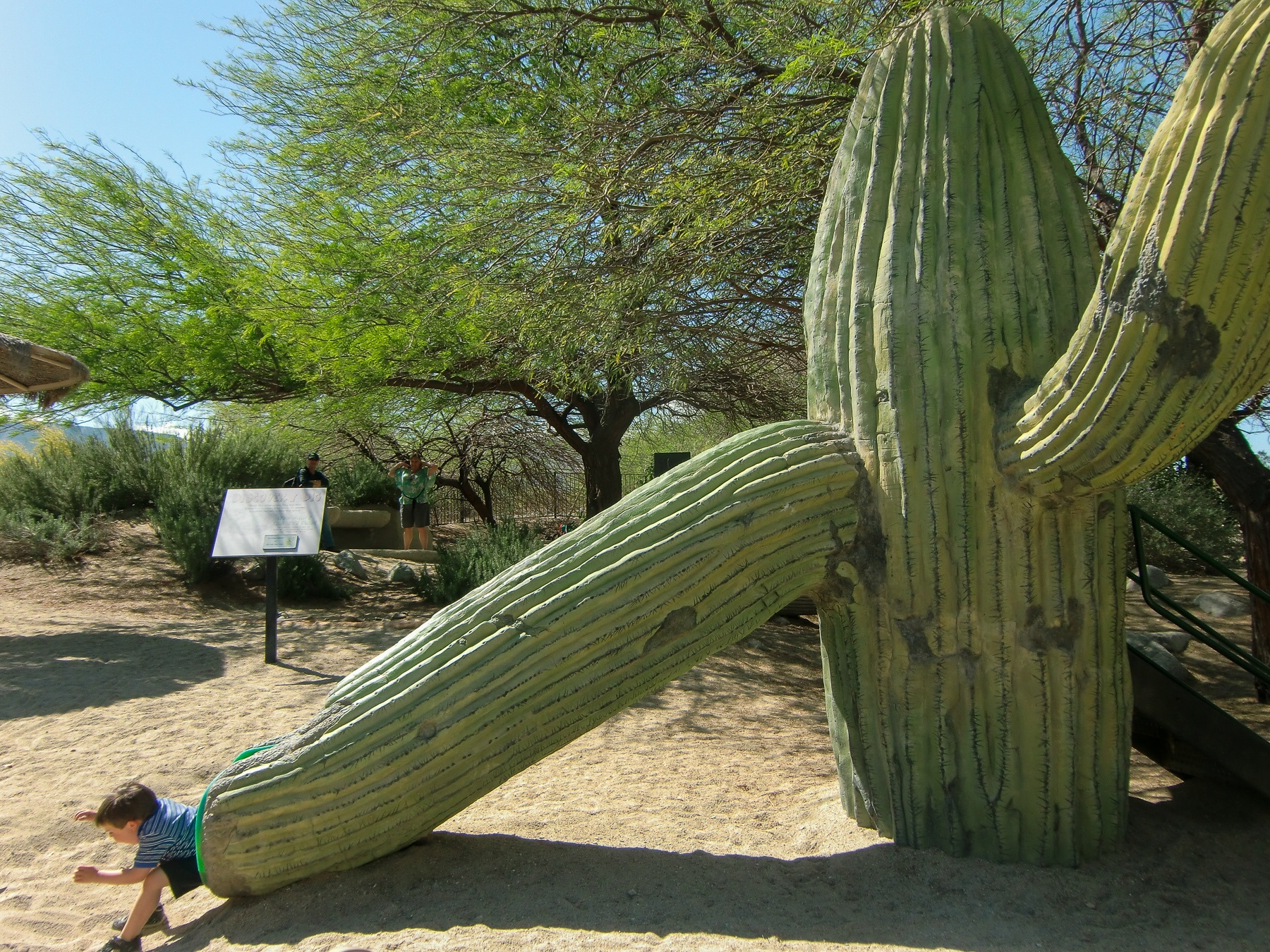 Saguaro cactus slide at the Living Desert's Gecko Gulch play area