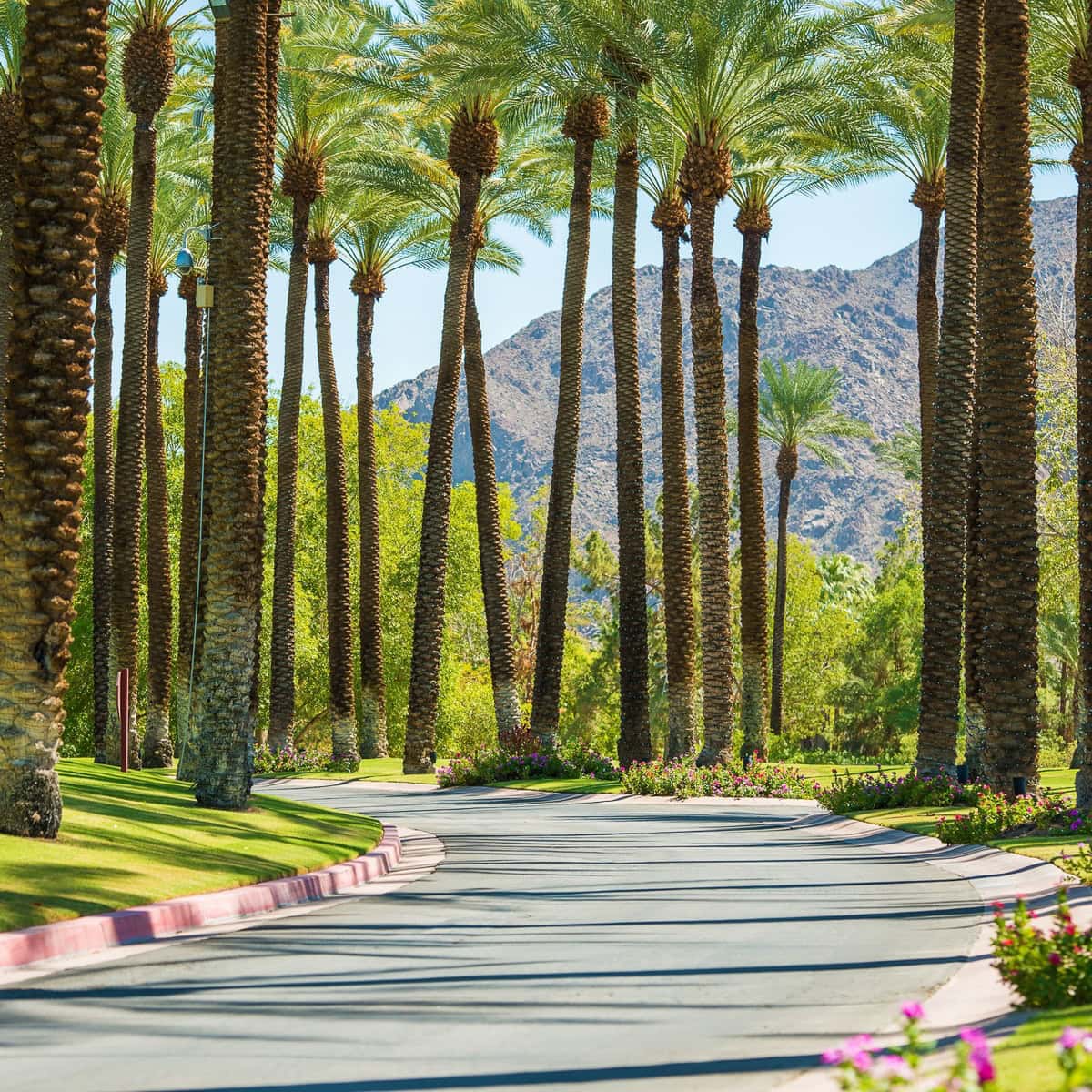 Palm Springs California