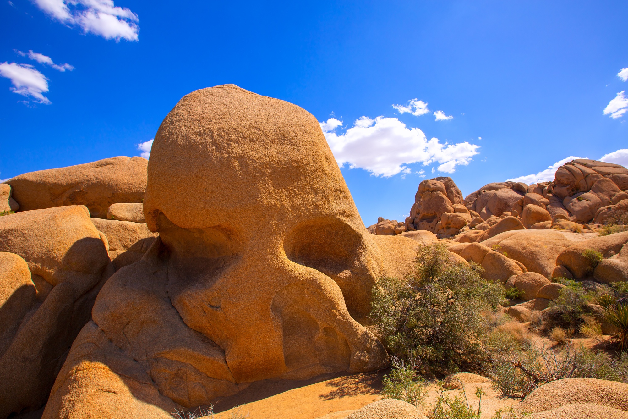 Skull Rock in Joshua tree National Park