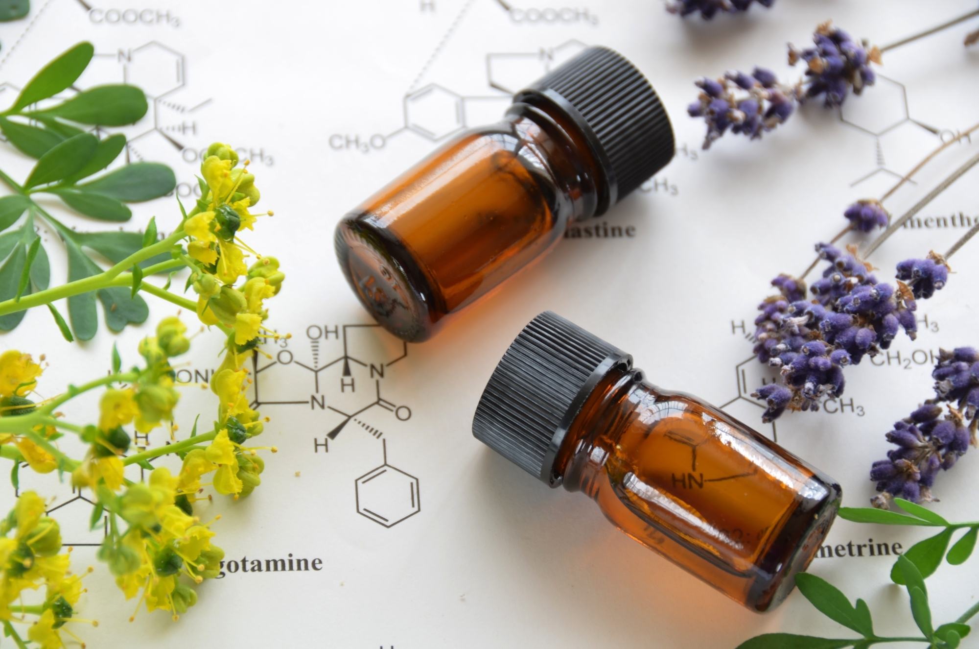 Essential oils are pure and potent extracts from plants