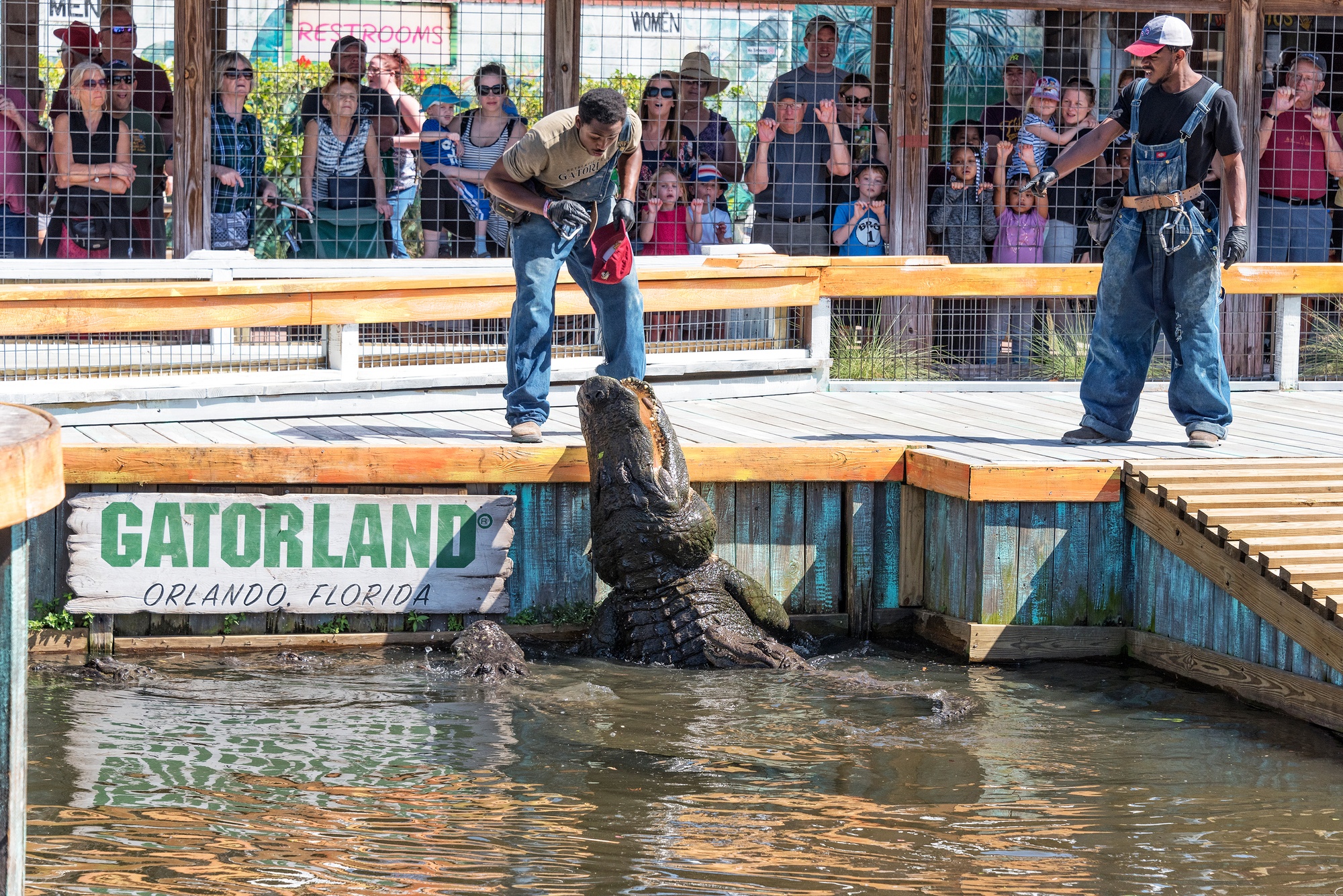 Gator Jumparoo Show at Gatorland in Orlando