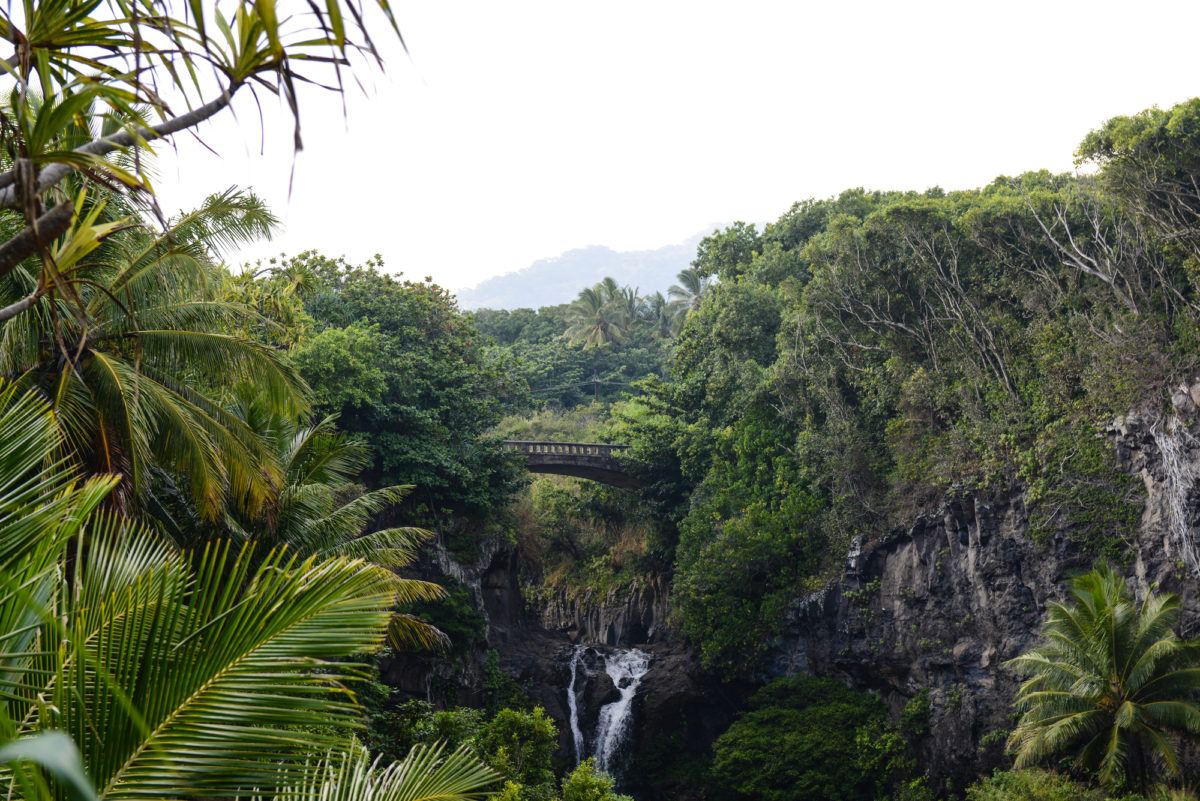 Bridge on the Road to Hana