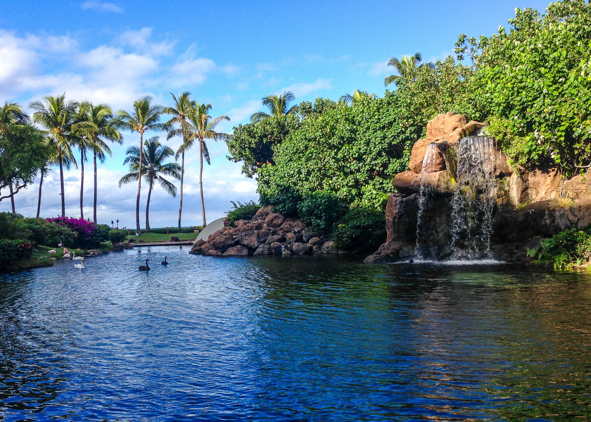 The view at Swan Court at Hyatt Maui Regency