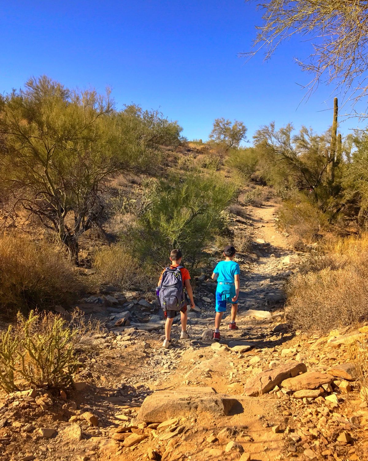 My son and one of his classmates on Lost Dog Wash Trail outdoors in Scottsdale