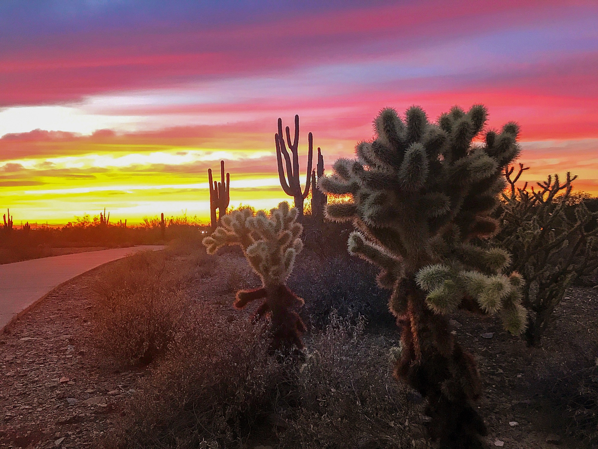 Another beautiful Scottsdale sunset