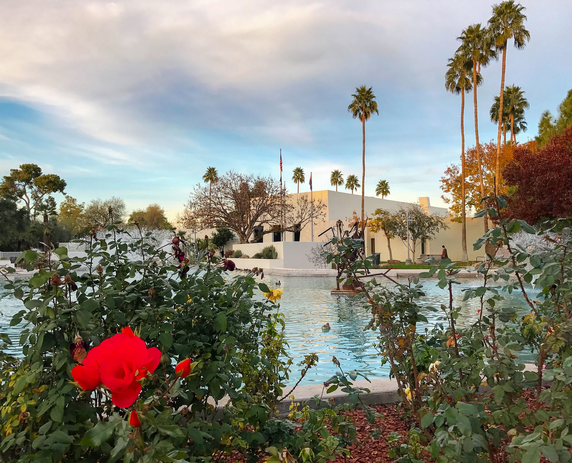 Scottsdale Civic Center Plaza fountain and flowers 