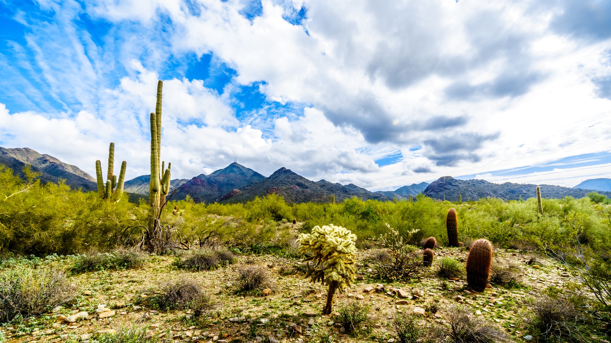 Scottsdale outdoor activities abound in the MacDowell Mountain Preserve