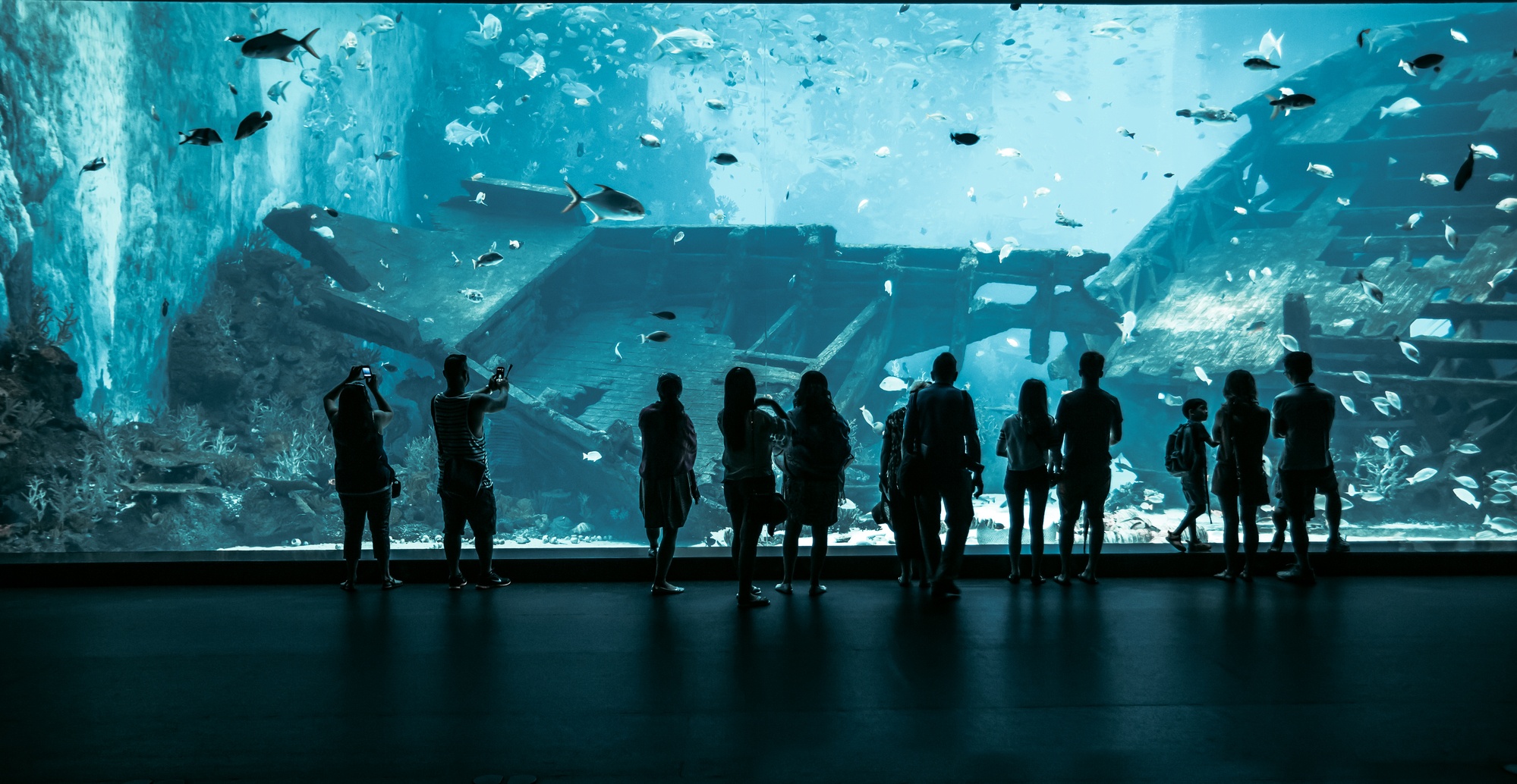 S.E.A. Aquarium in Singapore with kids