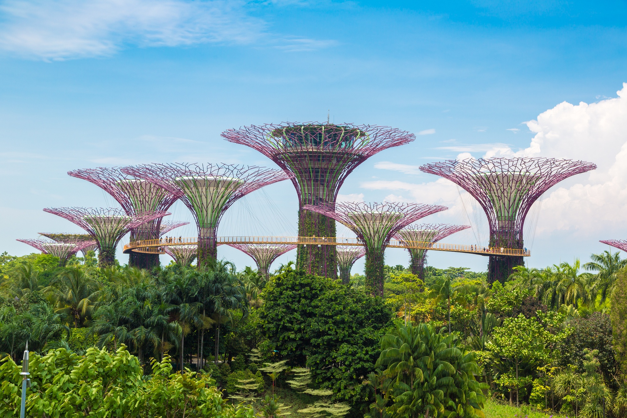 The Supertree Grove at Gardens by the Bay in Singapore