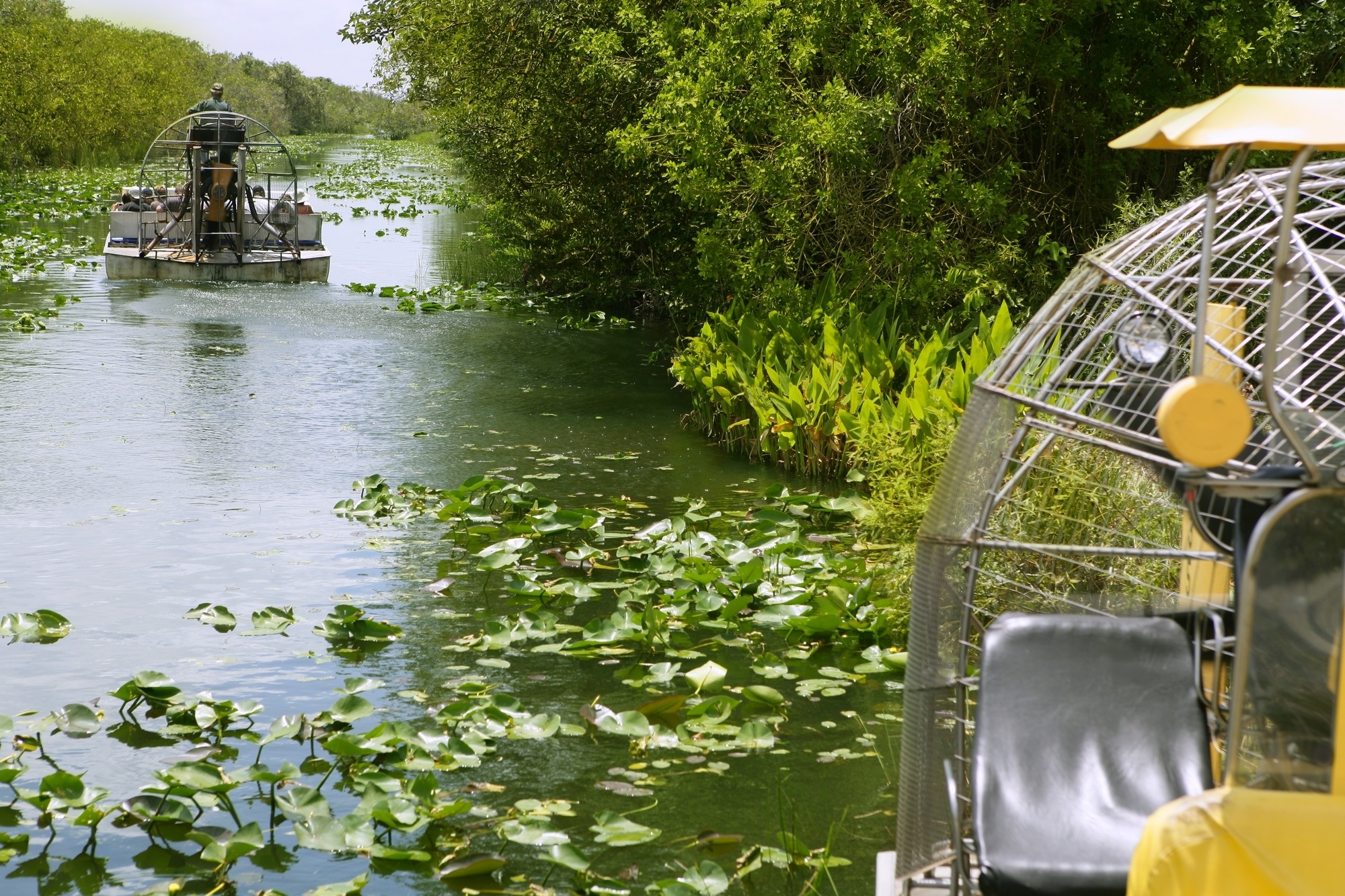 Airboat tour in Everglades National Park 