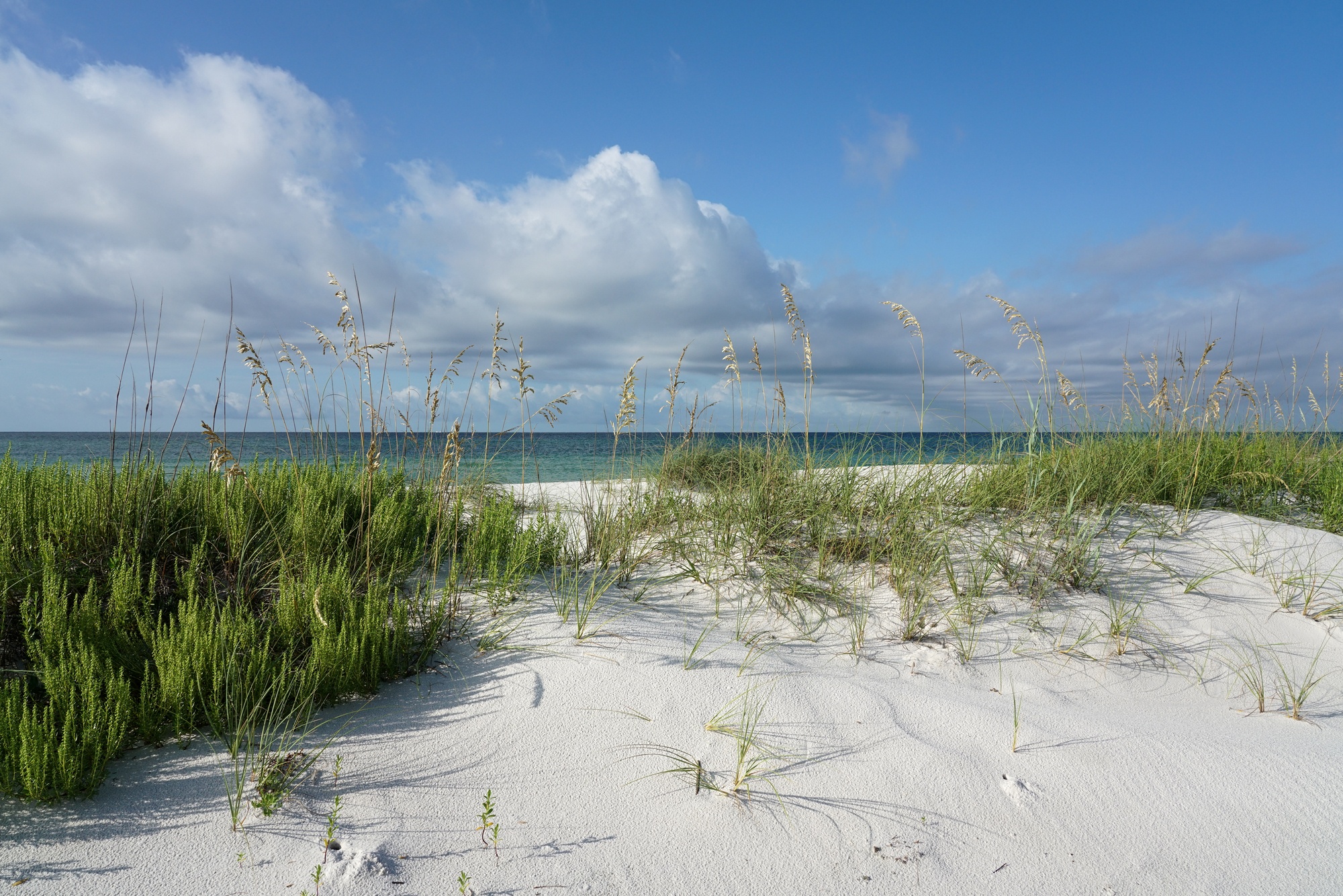 Gulf Islands National Seashore in Pensacola, FL