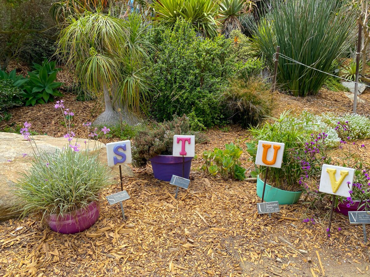 Spell and Smell Garden in Hamilton Children's Garden