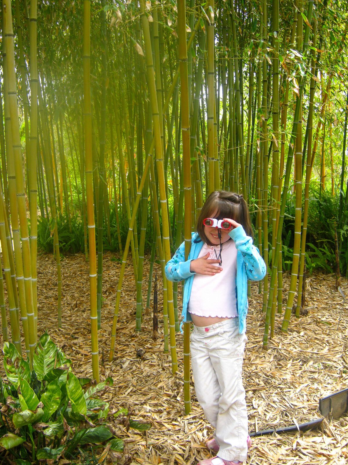 Little girl in the Bamboo Garden, San Diego Botanic Garden