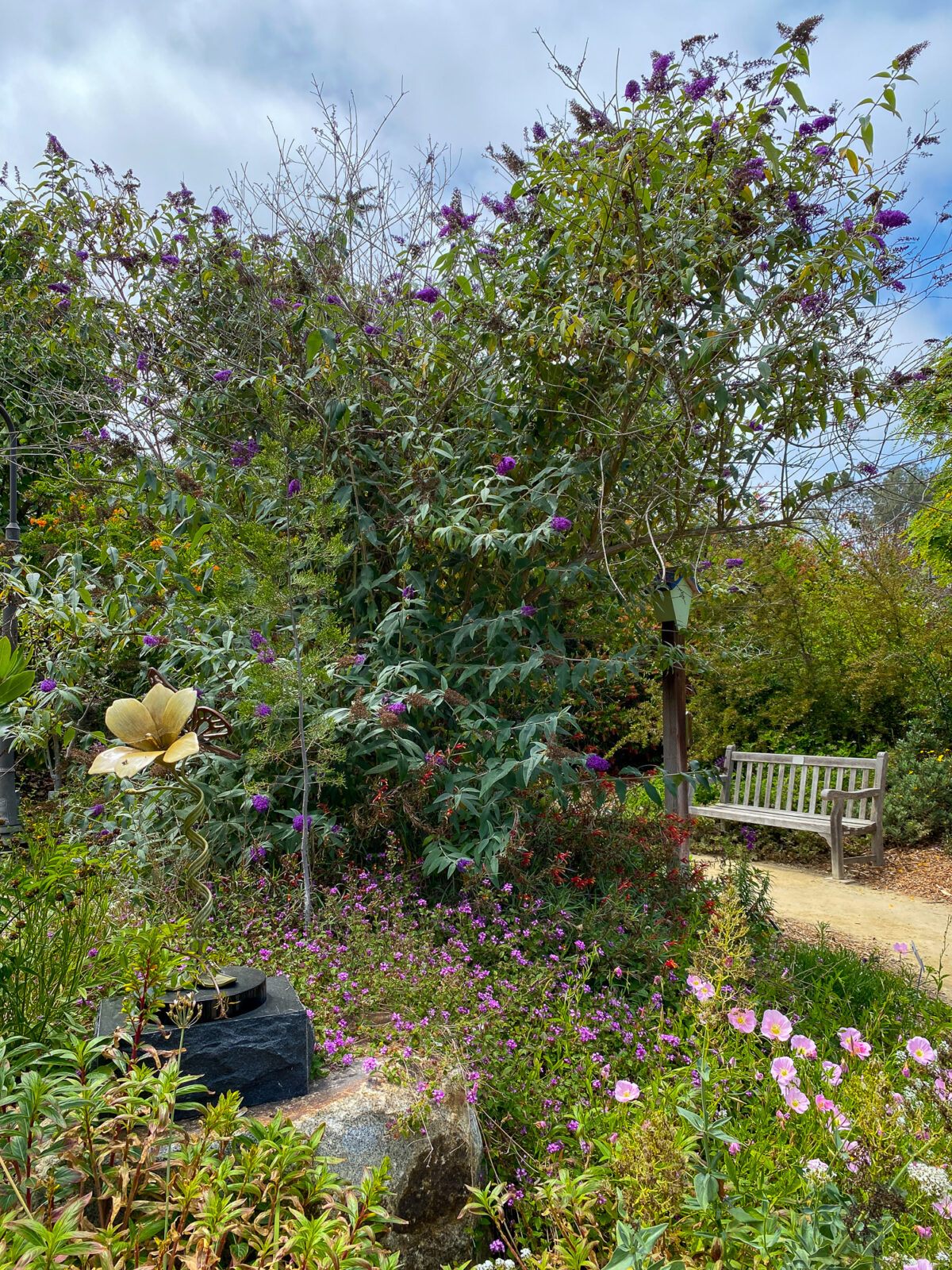 California Gardenscapes at San Diego Botanic Garden