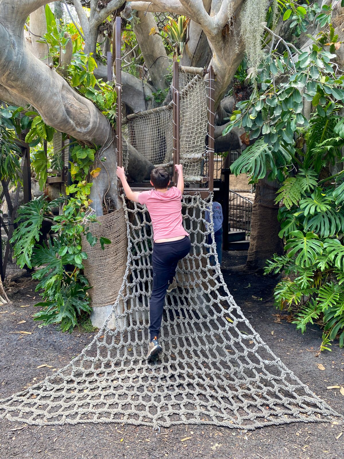 Young teen at Toni's Treehouse at San Diego Botanic Garden