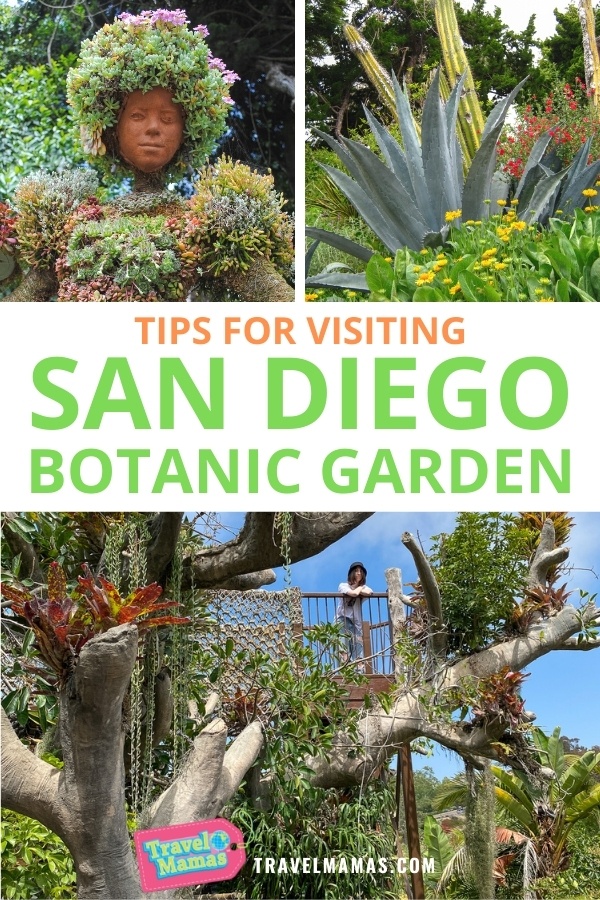 San Diego Botanic Garden Tips