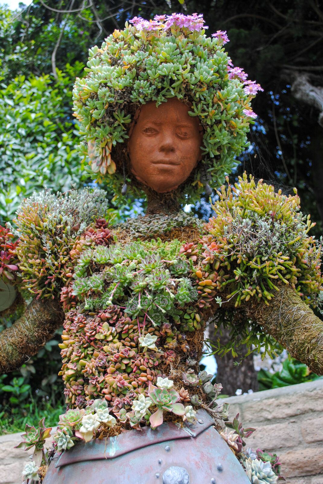 Flamenco topiary in San Diego Botanic Garden's Mexican Garden