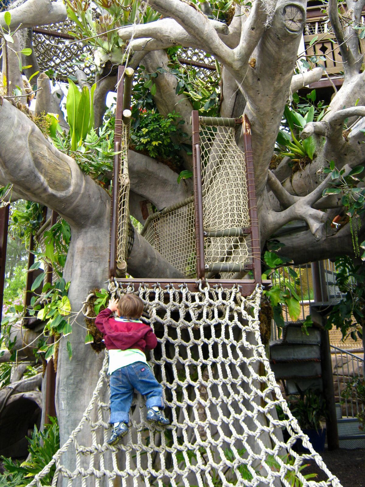 Toddler climbing Toni's Treehouse net ladder at San Diego Botanic Garden