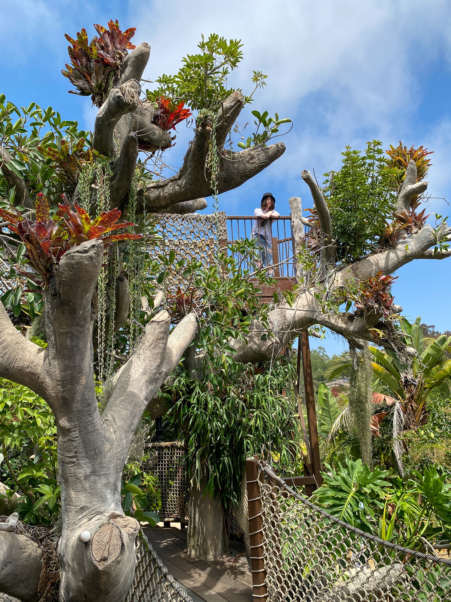 Teen at the top of Toni's Treehouse in Hamilton Children's Garden