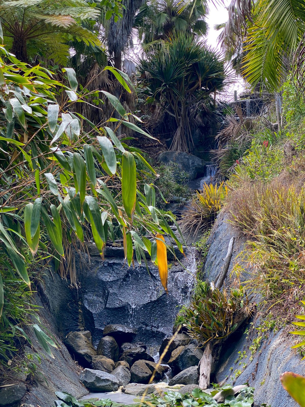 A waterfall in the San Diego Botanic Garden's Tropical Rainforest