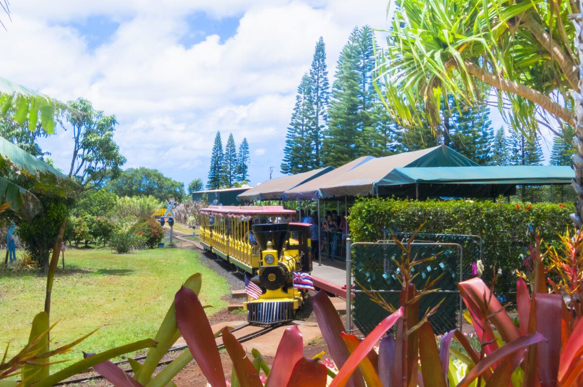 Kids love riding the train at Dole Plantation