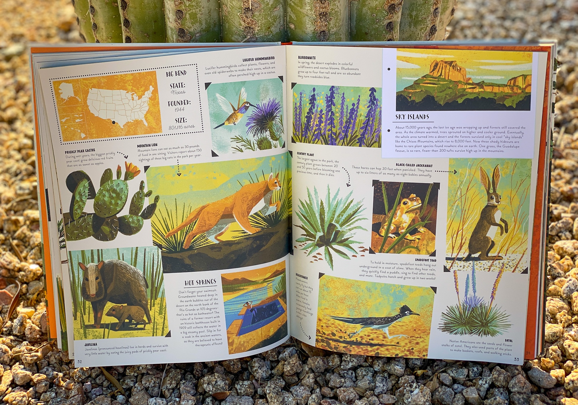 Details about Big Bend in "National Parks of the USA" -- a book for kids