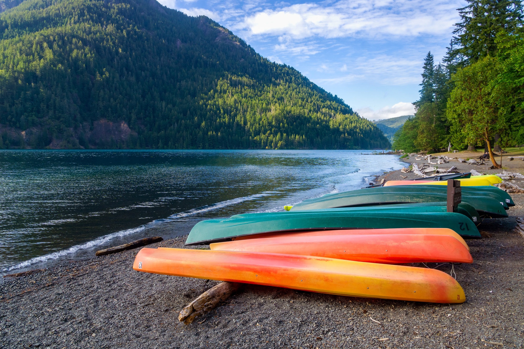 Kayaks on the shore of Lake Crescent