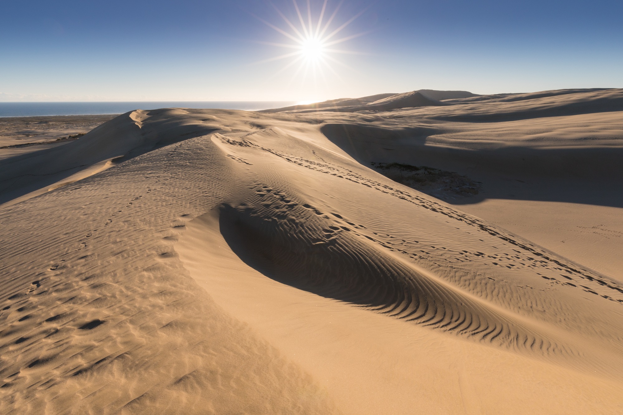 Mesquite Flat Dunes in Death Valley National Park