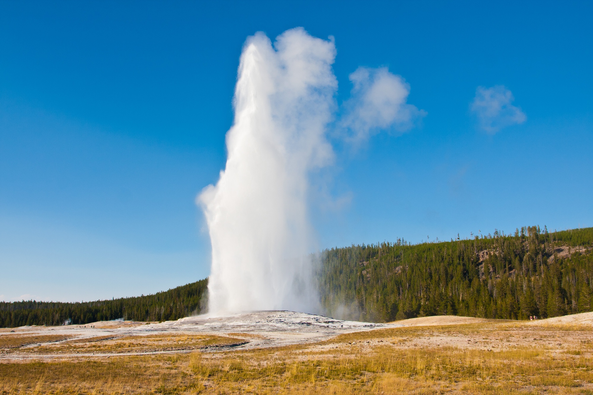 Old Faithful Geyser in Yellowstone 