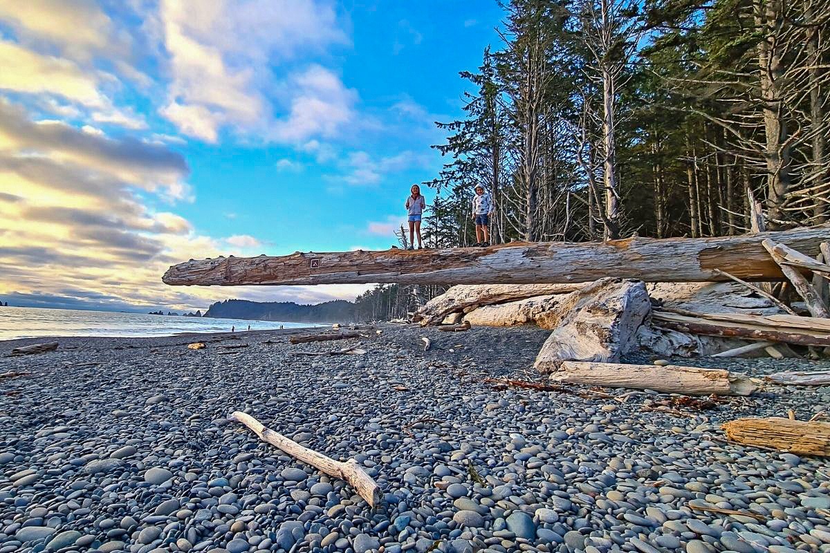 Olympic National Park with kids