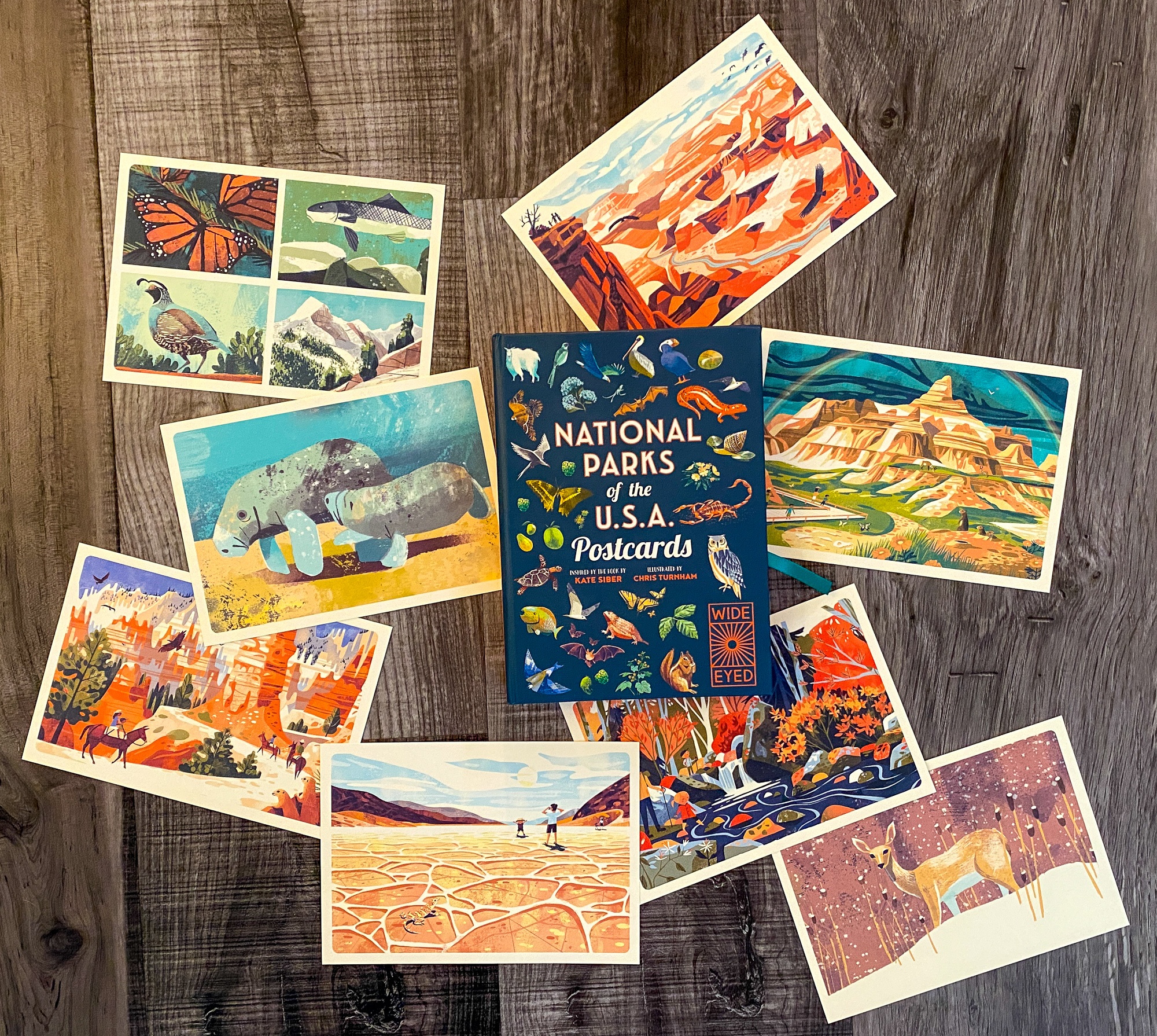 Explore the best national parks for kids with National Parks of the USA Postcards by Quarto Kids