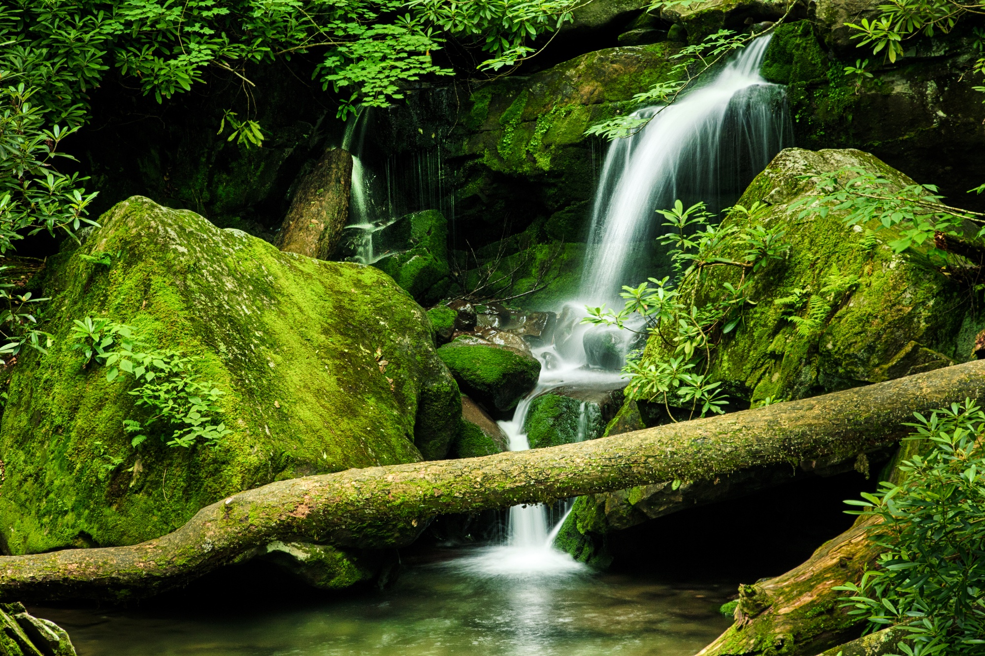 Grotto Falls