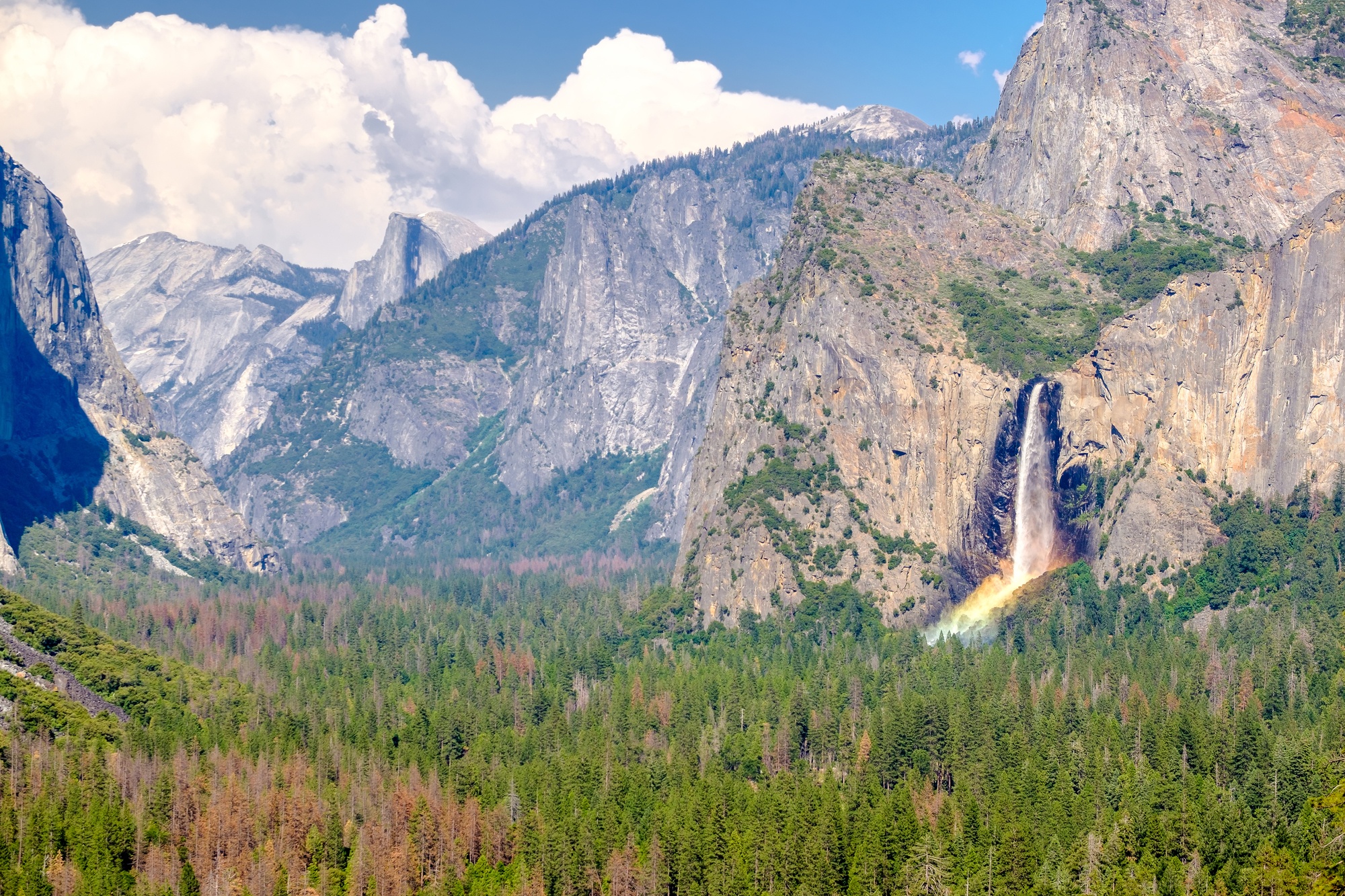 Yosemite, one of the best national parks for kids in the United States