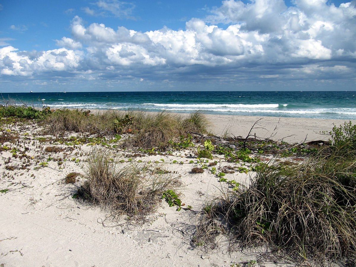 Dr. Von D. Mizelle-Eula Johnson State Park