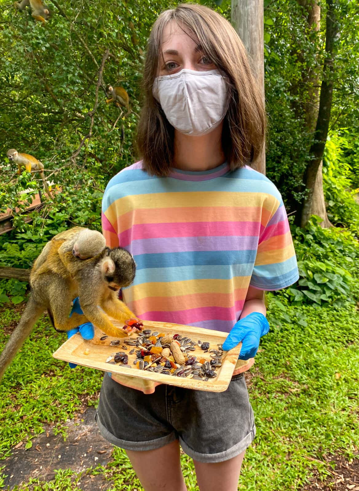 Feeding spider monkeys at Monkey Jungle in Miami with teens