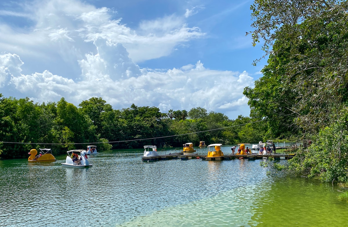 Swan and duck shaped pedal boats at Zoo Miami with kids