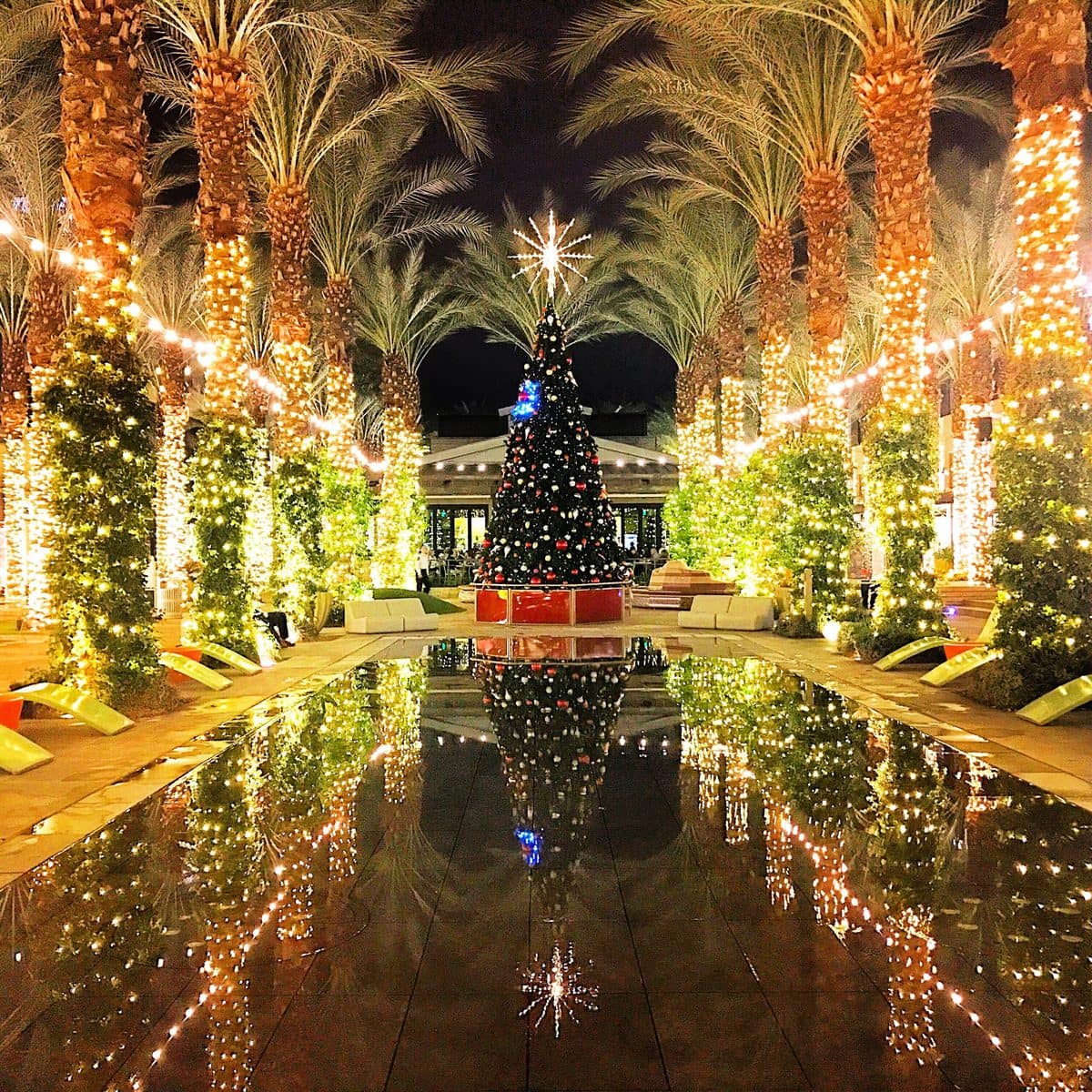 Christmas tree and holiday lights at Scottsdale Quarter