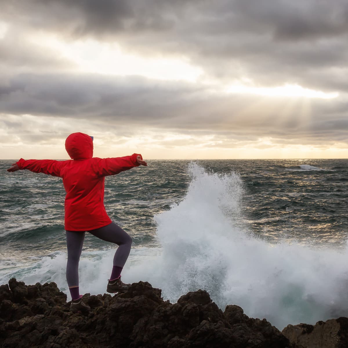 Tofino Storm Watching