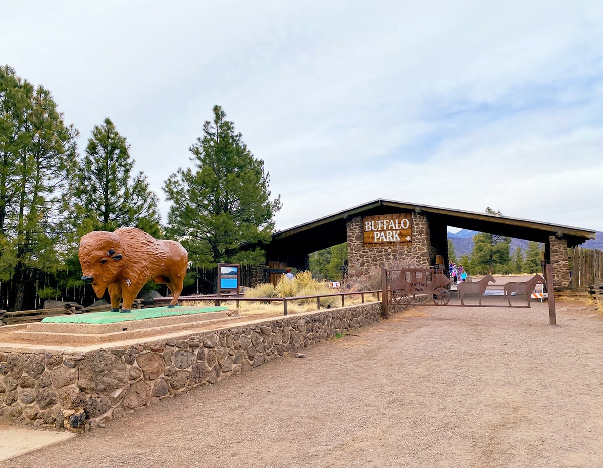 Buffalo Park in Flagstaff