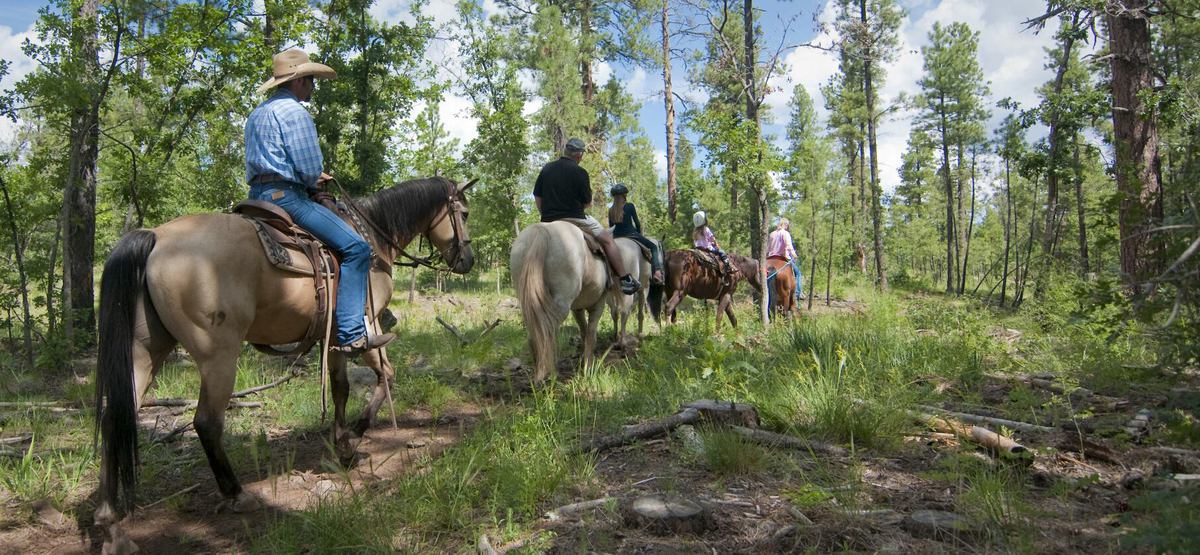 High Mountain Trails horseback trail ride near Mormon Lake in Arizona