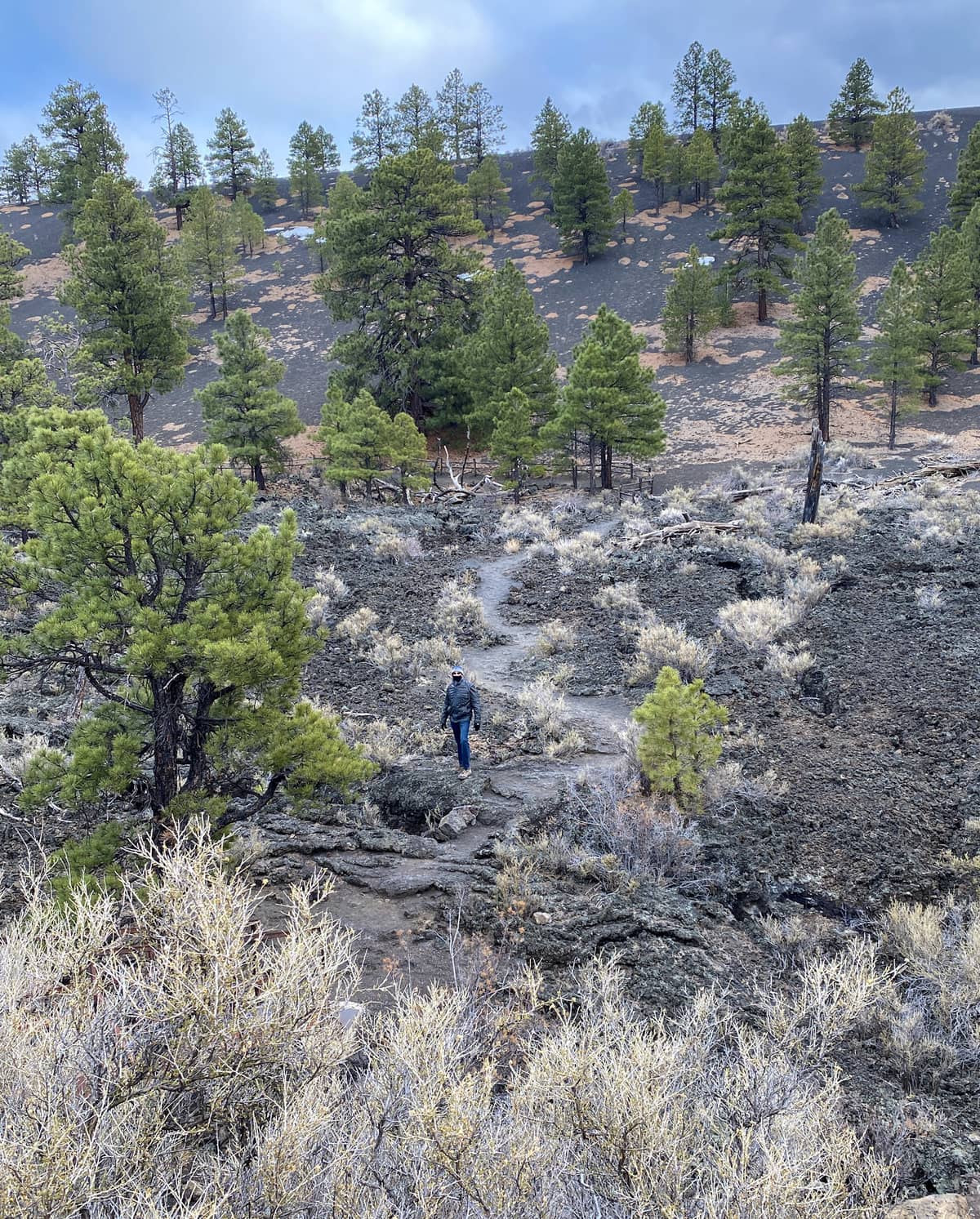 Lava Fields at Sunset Crater National Monument near Flagstaff, Arizona