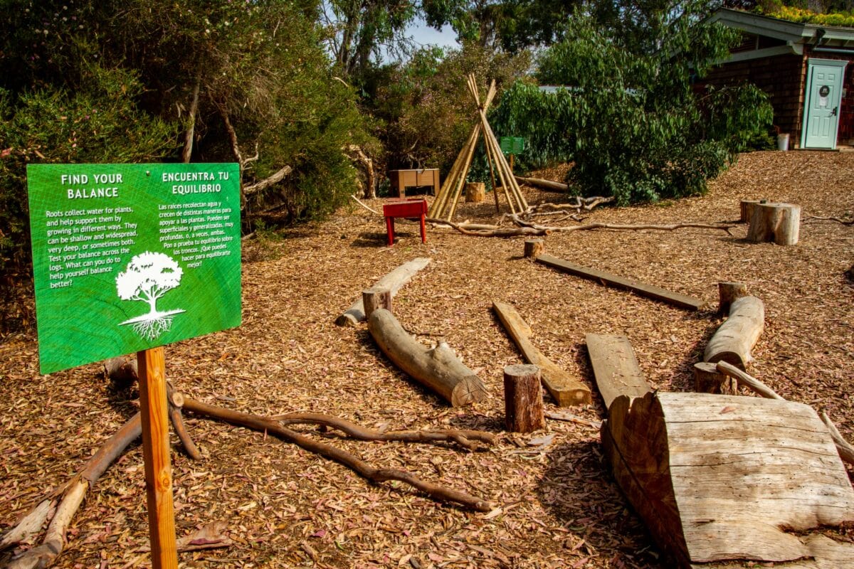 San Diego Botanic Garden's newest children's garden, the Junior Quail Trail