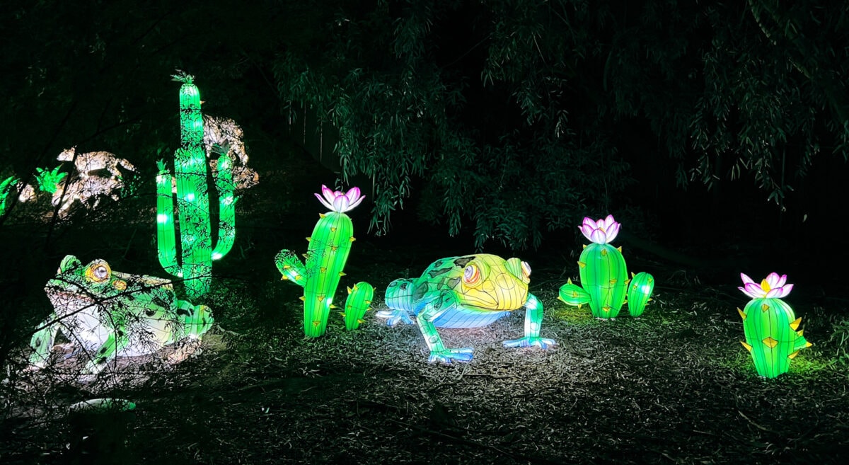 Phoenix Zoo Lights animals and cacti