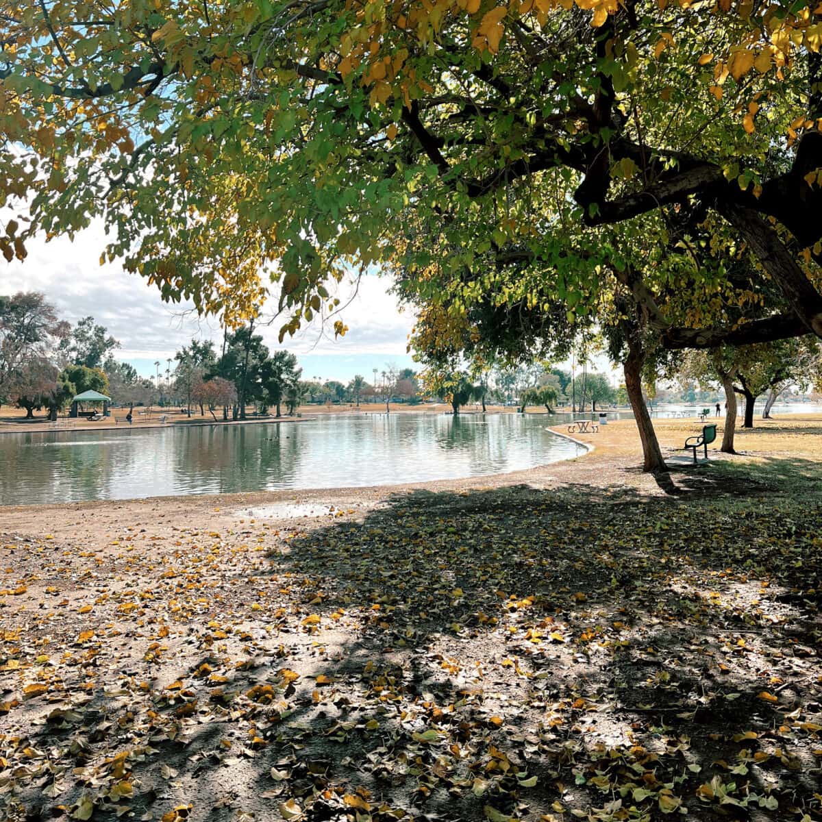 Chaparral Lake in Scottsdale