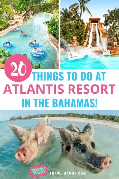 Top 20 Things to Do at Atlantis Bahamas Resort