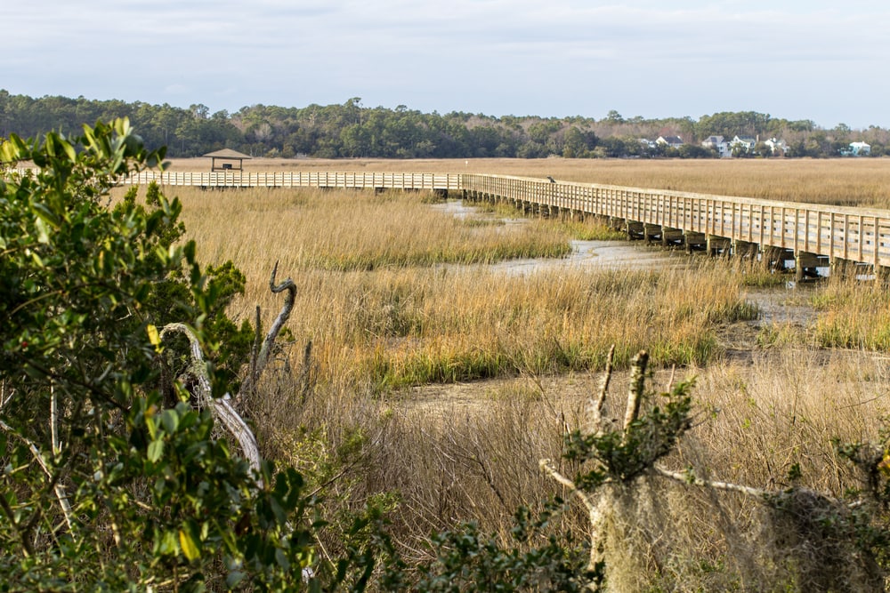 Boardwalk through marshes at Huntington Beach State Park 