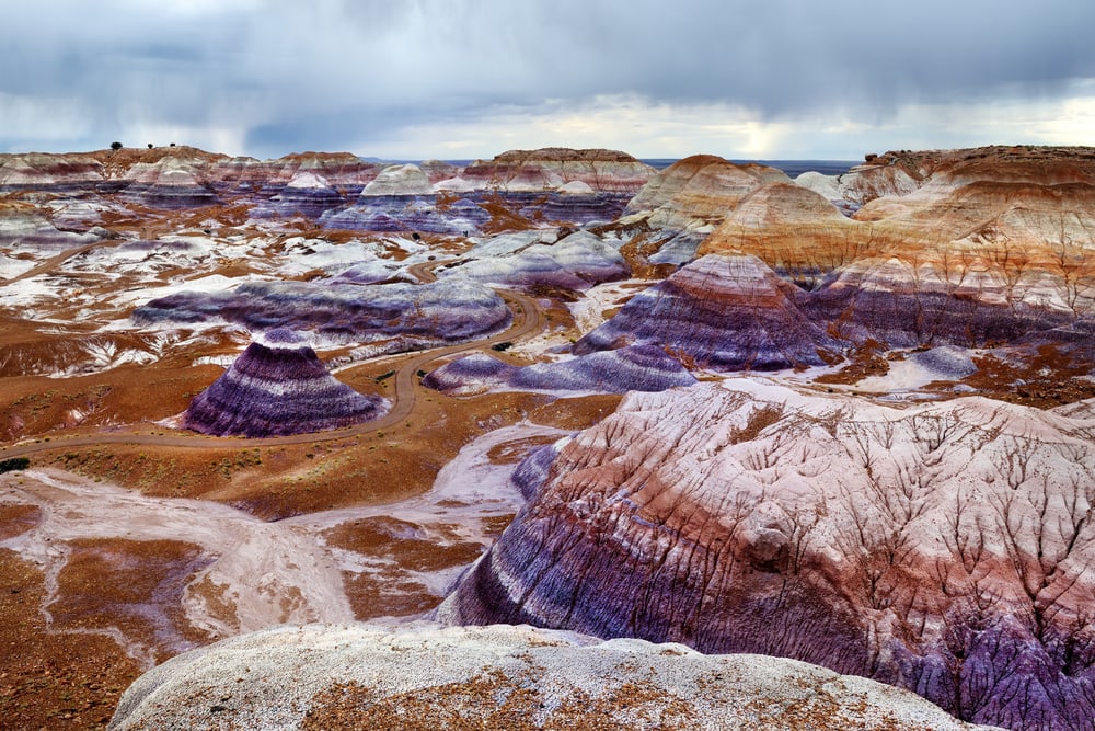 Petrified Forest National Park