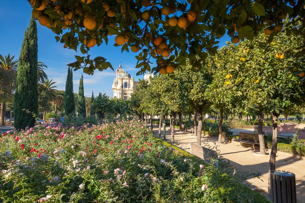 Parque de Málaga