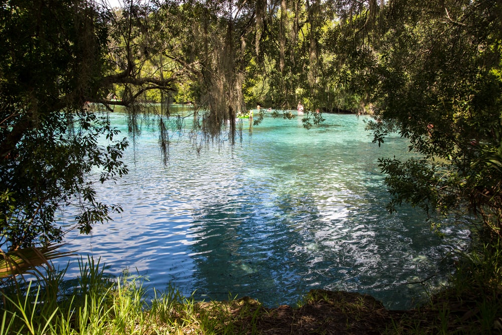 Crystal River, Florida 