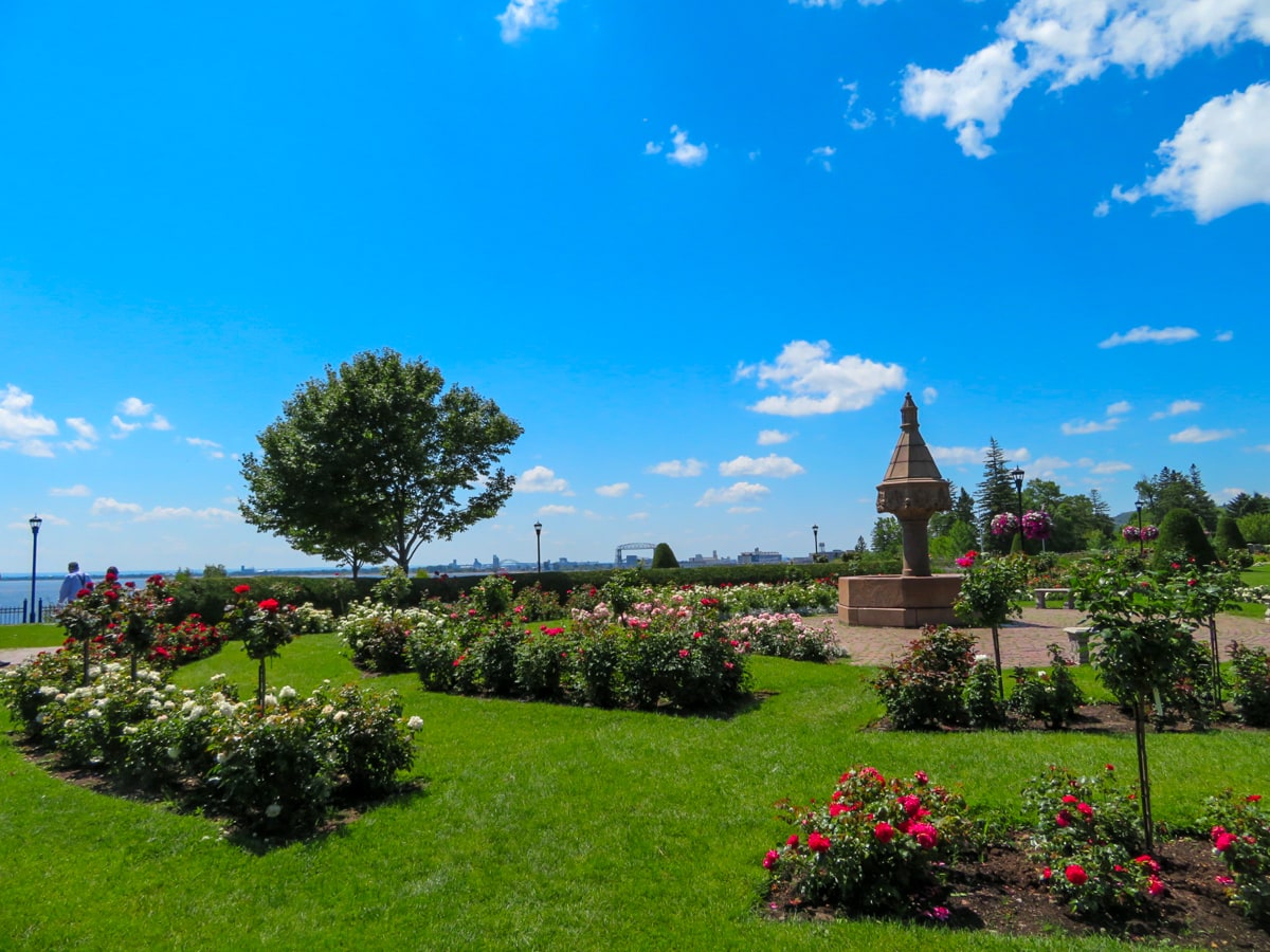 Duluth's Rose Garden 